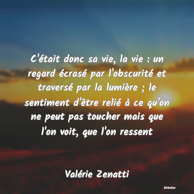 image de citation: C'était donc sa vie, la vie : un regard écrasé par l'obscurité et traversé par la lumière ; le sentiment d'être relié à ce qu'on ne peut pas toucher mais que l'on voit, que l'on ressent