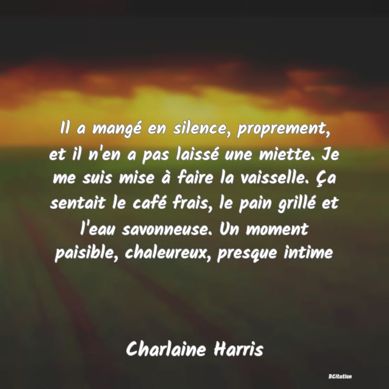 image de citation: Il a mangé en silence, proprement, et il n'en a pas laissé une miette. Je me suis mise à faire la vaisselle. Ça sentait le café frais, le pain grillé et l'eau savonneuse. Un moment paisible, chaleureux, presque intime