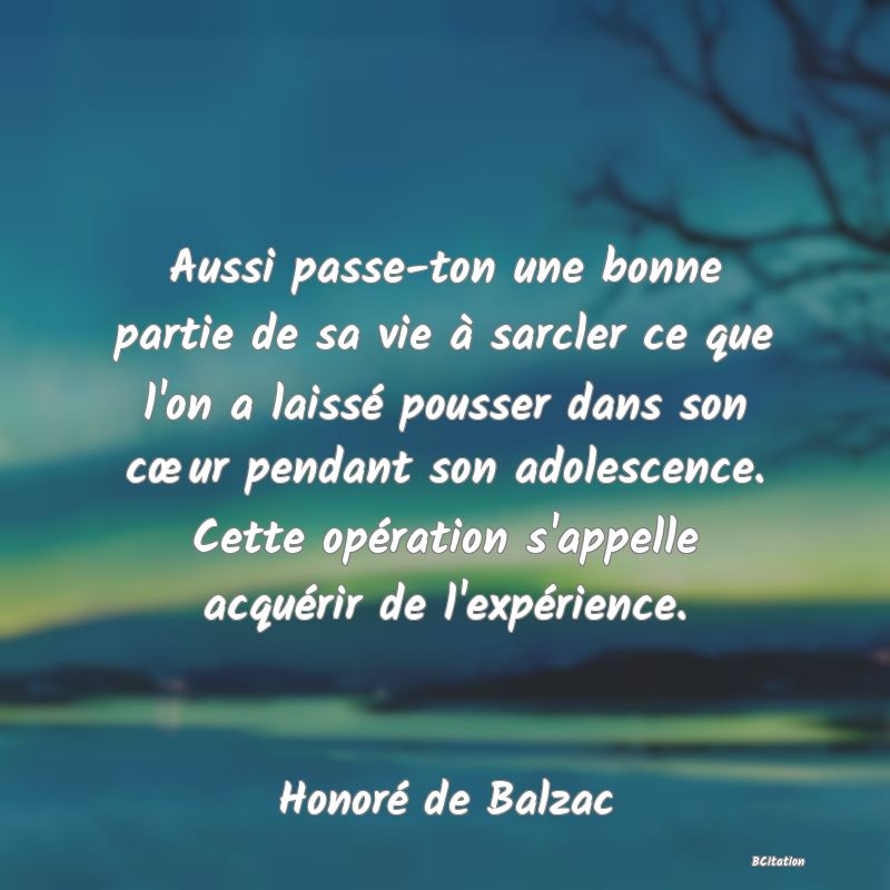 image de citation: Aussi passe-ton une bonne partie de sa vie à sarcler ce que l'on a laissé pousser dans son cœur pendant son adolescence. Cette opération s'appelle acquérir de l'expérience.