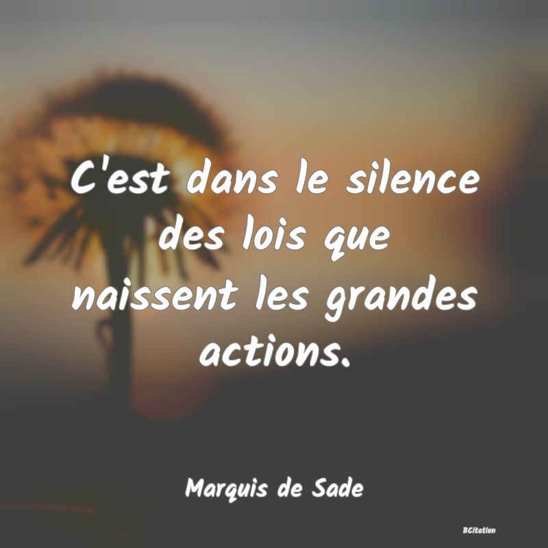 image de citation: C'est dans le silence des lois que naissent les grandes actions.