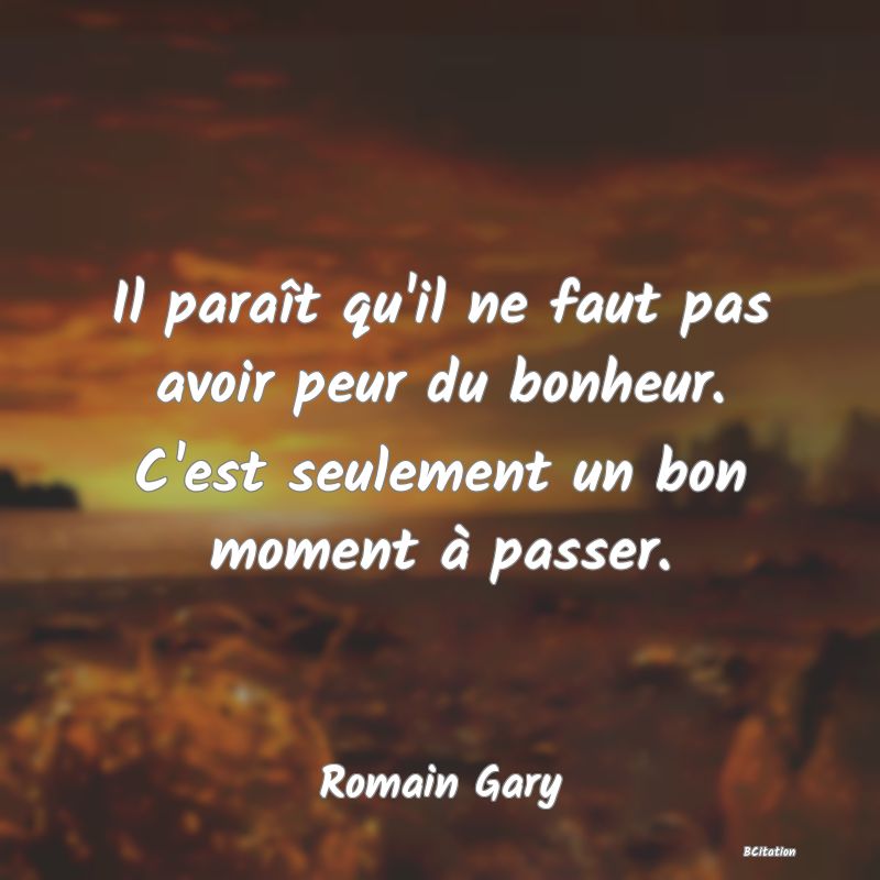 image de citation: Il paraît qu'il ne faut pas avoir peur du bonheur. C'est seulement un bon moment à passer.