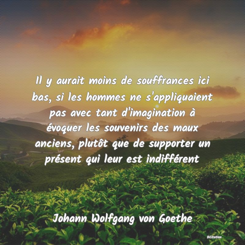 image de citation: Il y aurait moins de souffrances ici bas, si les hommes ne s'appliquaient pas avec tant d'imagination à évoquer les souvenirs des maux anciens, plutôt que de supporter un présent qui leur est indifférent