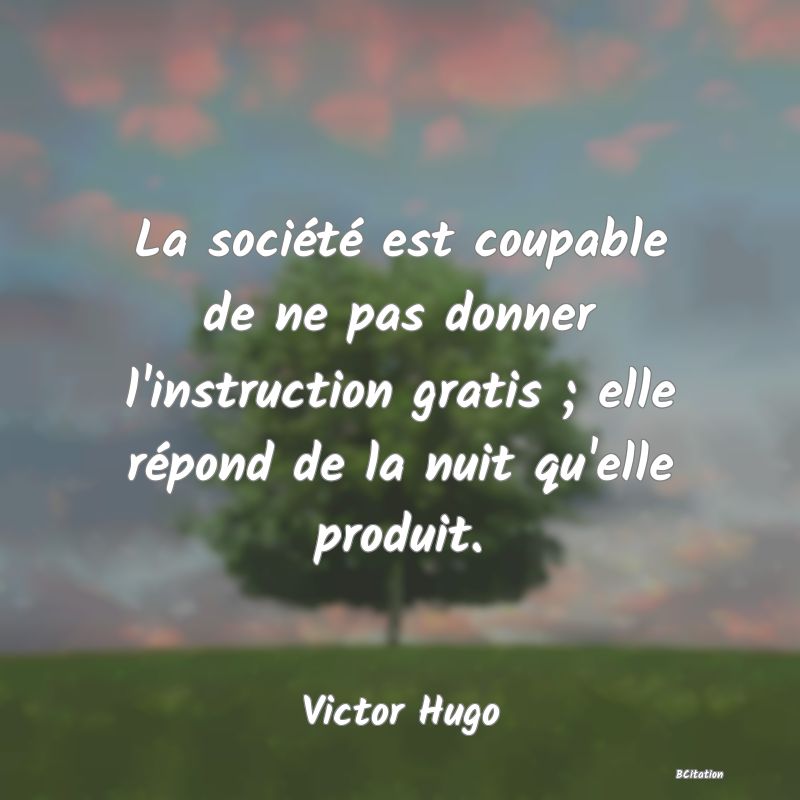 image de citation: La société est coupable de ne pas donner l'instruction gratis ; elle répond de la nuit qu'elle produit.