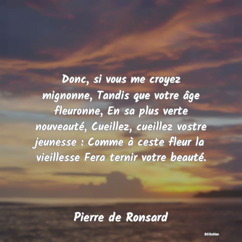 image de citation: Donc, si vous me croyez mignonne, Tandis que votre âge fleuronne, En sa plus verte nouveauté, Cueillez, cueillez vostre jeunesse : Comme à ceste fleur la vieillesse Fera ternir votre beauté.