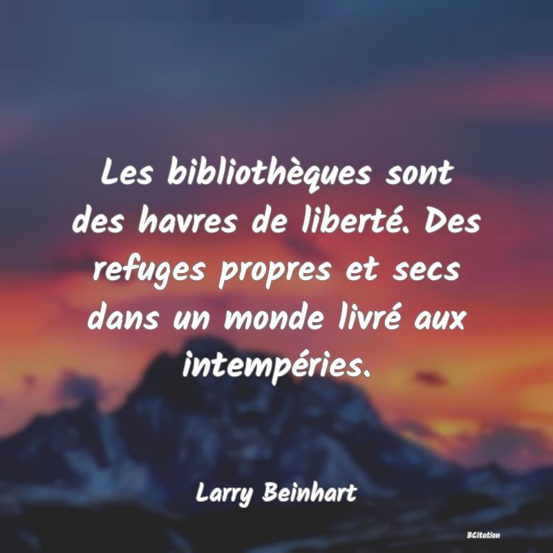 image de citation: Les bibliothèques sont des havres de liberté. Des refuges propres et secs dans un monde livré aux intempéries.