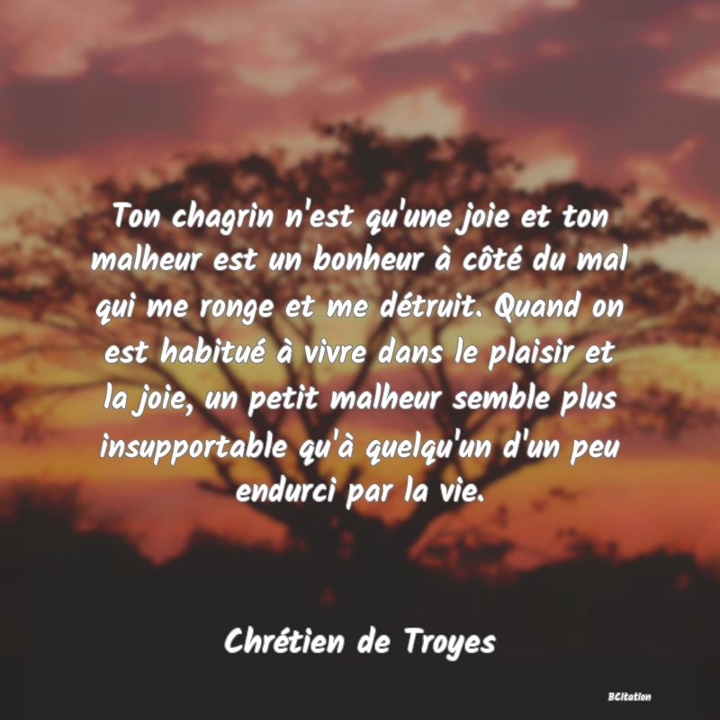 image de citation: Ton chagrin n'est qu'une joie et ton malheur est un bonheur à côté du mal qui me ronge et me détruit. Quand on est habitué à vivre dans le plaisir et la joie, un petit malheur semble plus insupportable qu'à quelqu'un d'un peu endurci par la vie.