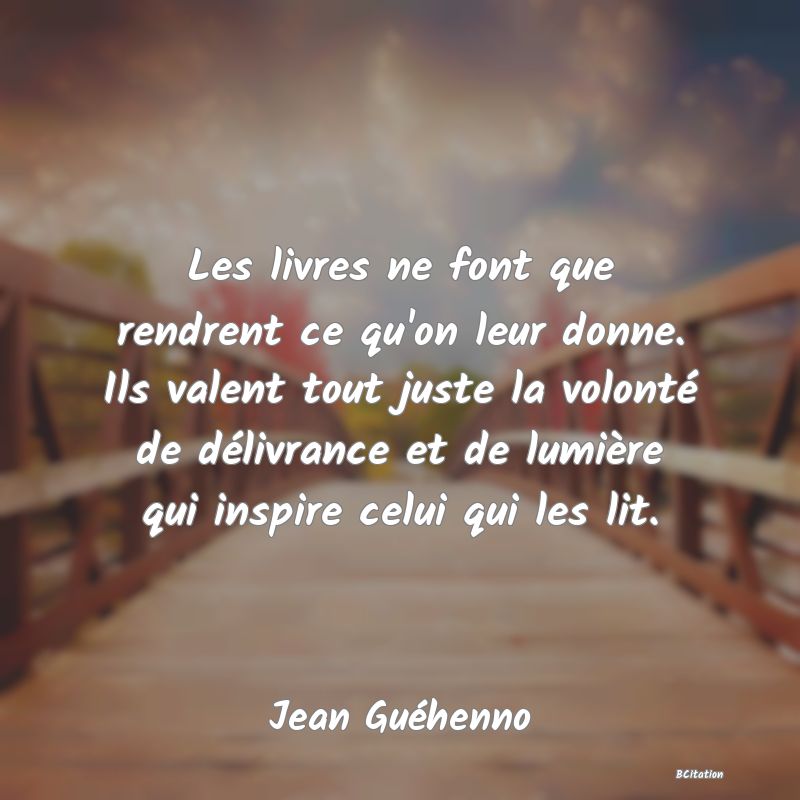 image de citation: Les livres ne font que rendrent ce qu'on leur donne. Ils valent tout juste la volonté de délivrance et de lumière qui inspire celui qui les lit.