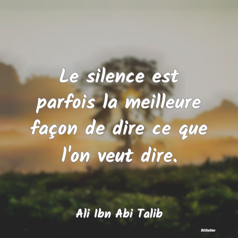 image de citation: Le silence est parfois la meilleure façon de dire ce que l'on veut dire.