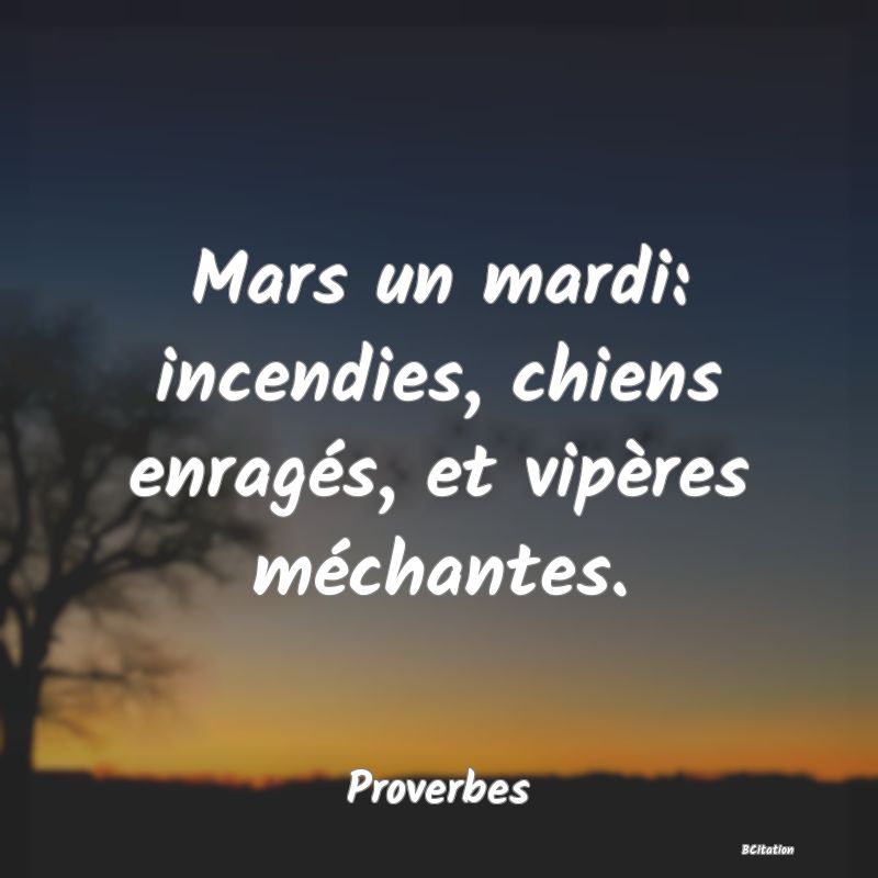 Belle Citation - Mars un mardi: incendies, chiens enragés, et vipères méchantes. - Proverbes
