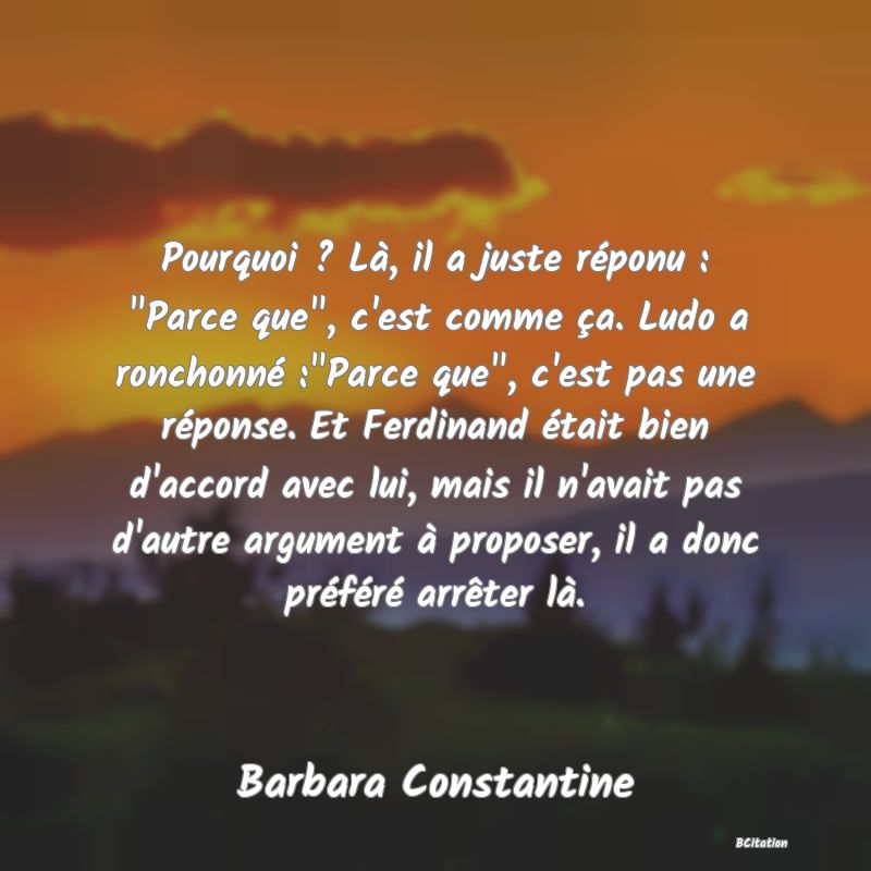 image de citation: Pourquoi ? Là, il a juste réponu :  Parce que , c'est comme ça. Ludo a ronchonné : Parce que , c'est pas une réponse. Et Ferdinand était bien d'accord avec lui, mais il n'avait pas d'autre argument à proposer, il a donc préféré arrêter là.