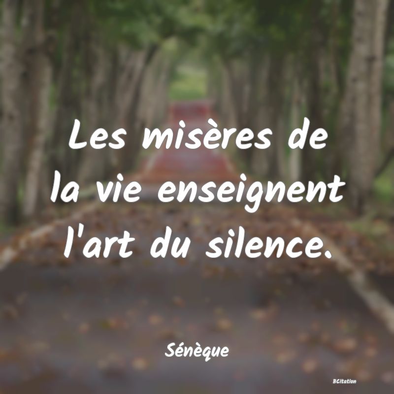 image de citation: Les misères de la vie enseignent l'art du silence.