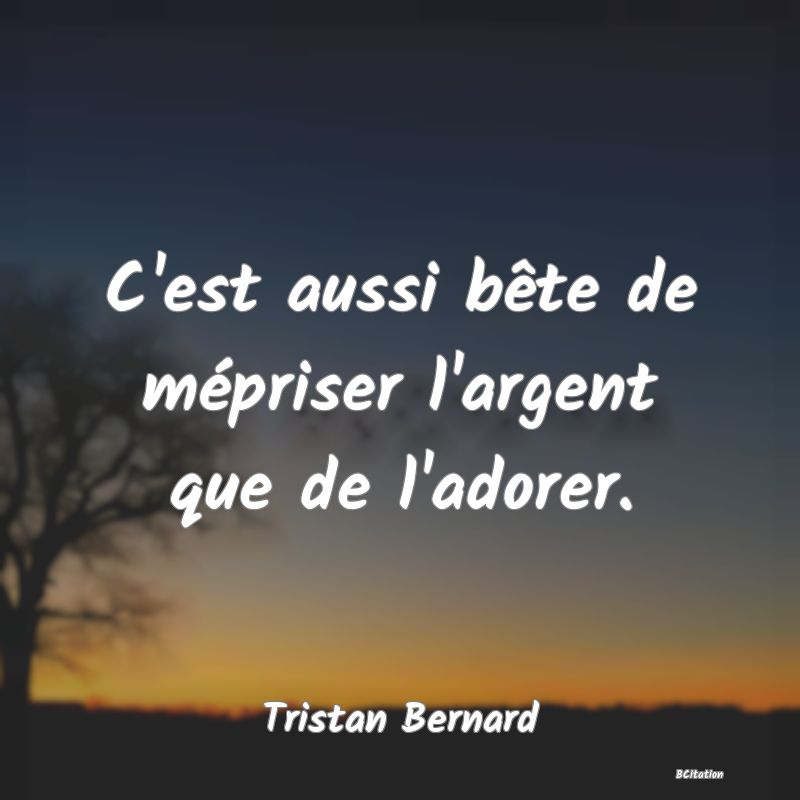 image de citation: C'est aussi bête de mépriser l'argent que de l'adorer.