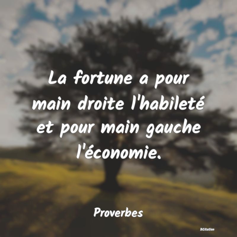 Belle Citation - La fortune a pour main droite l'habileté et pour main gauche l'économie. - Proverbes