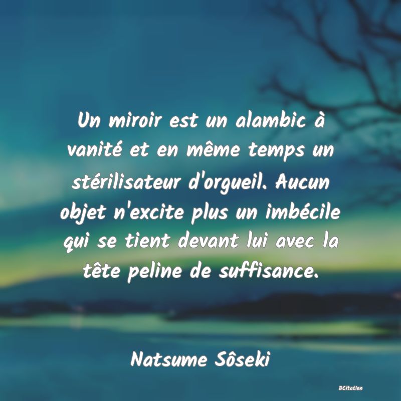 image de citation: Un miroir est un alambic à vanité et en même temps un stérilisateur d'orgueil. Aucun objet n'excite plus un imbécile qui se tient devant lui avec la tête peline de suffisance.