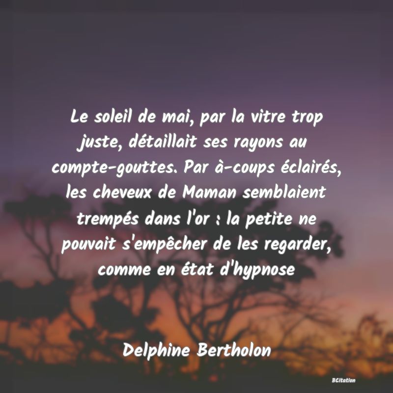 image de citation: Le soleil de mai, par la vitre trop juste, détaillait ses rayons au compte-gouttes. Par à-coups éclairés, les cheveux de Maman semblaient trempés dans l'or : la petite ne pouvait s'empêcher de les regarder, comme en état d'hypnose