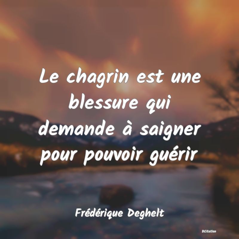 image de citation: Le chagrin est une blessure qui demande à saigner pour pouvoir guérir