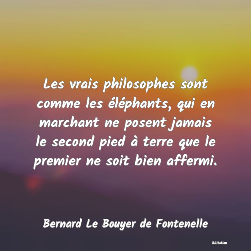 image de citation: Les vrais philosophes sont comme les éléphants, qui en marchant ne posent jamais le second pied à terre que le premier ne soit bien affermi.