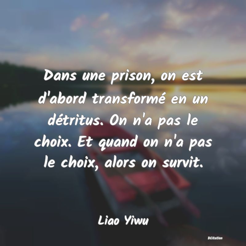 image de citation: Dans une prison, on est d'abord transformé en un détritus. On n'a pas le choix. Et quand on n'a pas le choix, alors on survit.